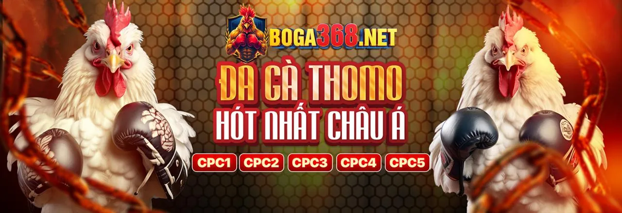 Đá Gà Trực Tuyến Win2888 - Các Trận Đấu Kịch Tính